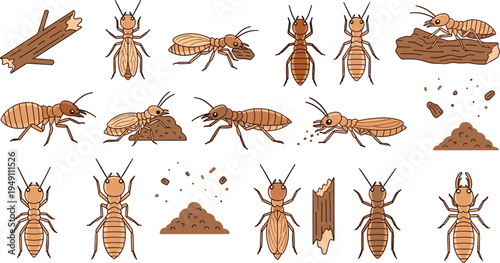 Termite Insect Pest Control Vector Icon Set Featuring Worker Termites Wood Damage Colony Hills and Infestation Symbols for Professional Exterminator Services and Educational Entomology