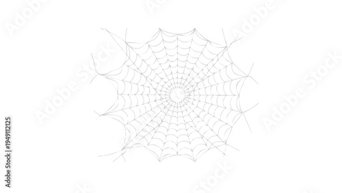 Bilde på lerret Spider web isolated on transparent background