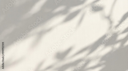 Photos Abstract dappled light shadow overlay from tree foliage