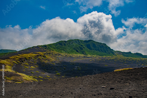 green field and blue sky