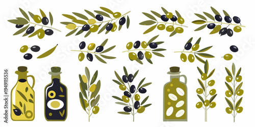 Stylized illustration of olive branches olives and bottles of olive oil