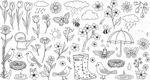 Black and white illustration of various insects and plants isolated on transparent background