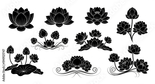 Elegant Lotus Flower Illustrations - A Collection of Botanical Art.