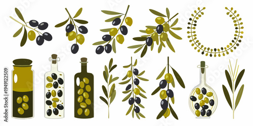 Variety of olives branches and oil bottles in a colorful illustration