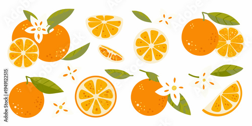 A colorful collection of oranges slices blossoms and green leaves