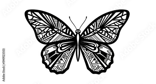 Detailed Butterfly Illustration with Intricate Wing Patterns.
