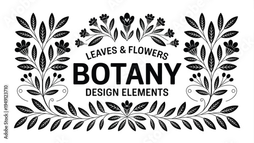 Elegant monochrome botanical design elements featuring ornate floral frames and intricate leaf patterns, perfect for creating vintage-inspired decorative projects