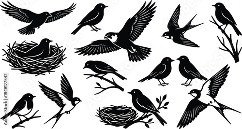 Collection of black bird silhouettes featuring flying swallows, sparrows perched on branches, songbirds nesting, and avian wildlife icons isolated on a white background vector