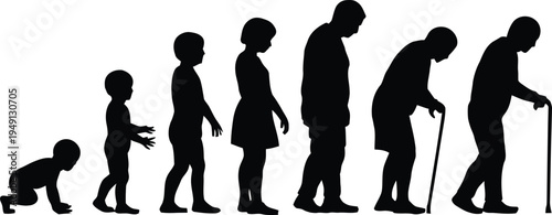 Human life cycle stages silhouette