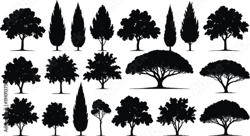 Tree silhouettes collection forest trees set various shapes botanical nature black isolated vector illustration for landscape design park decoration