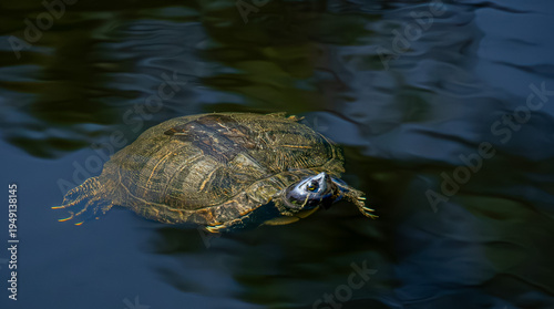 This place is ideal for a quiet vacation and fishing.