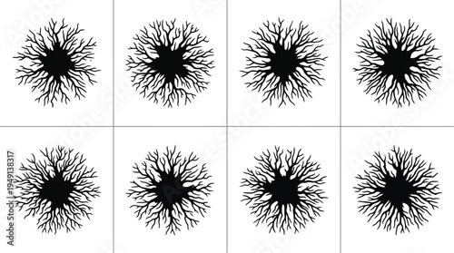 Fotografia Ocho patrones abstractos en blanco y negro con estructuras dendríticas y ramificadas