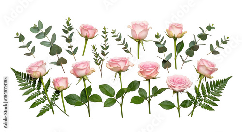Collection of pink roses and greenery isolated on transparent background