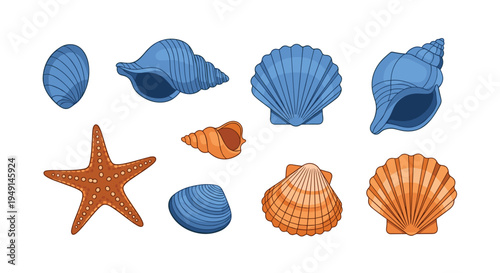 A vibrant assortment of nine distinct seashells and one starfish in striking blue and orange hues lies on a clean white background.