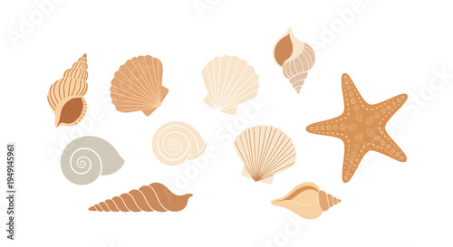 A scattered collection of ten various seashells and one starfish in muted earthy tones lies on a pristine white background.