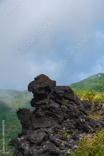 green field and blue sky