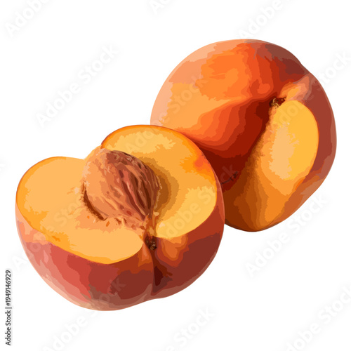 A close-up view of two ripe peaches with one cut in half to reveal the juicy flesh and pit. isolated on white background, Vector
