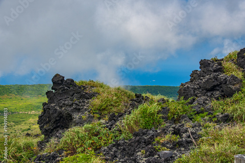green field and blue sky