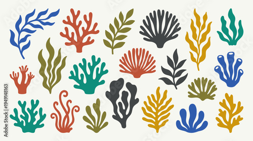Colorful illustration of various seaweeds and corals.