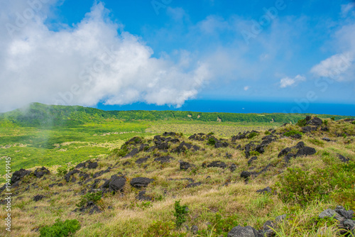 green field and blue sky