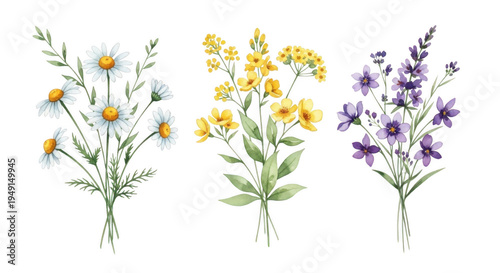 Watercolor flowers bouquet isolated on transparent background