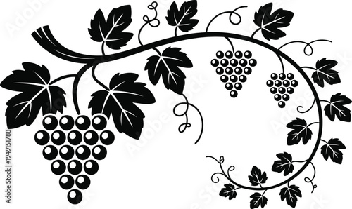 Black and white illustration of a grapevine with clusters of grapes