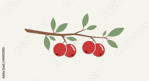 Fresh cluster of red berries with green leaves on a brown branch, symbolizing nature and harvest, set on a light beige background.
