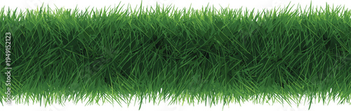 Realistic detailed horizontal banner of lush green grass with depth and texture