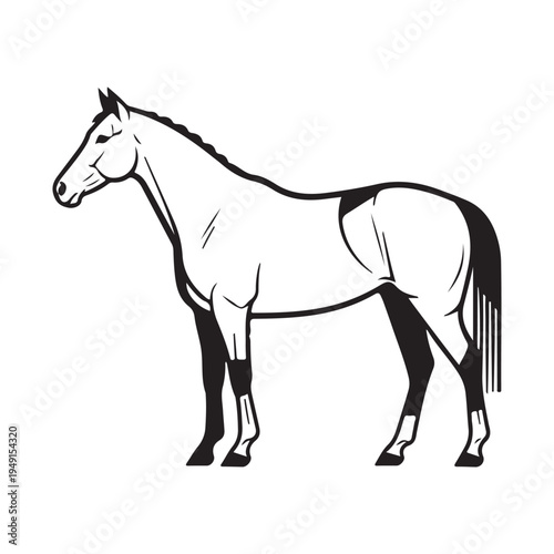 A drawing of a horse's head and neck