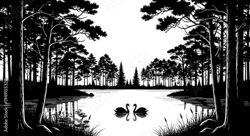 Black and white silhouette of two swans swimming on a lake surrounded by tall pine trees.