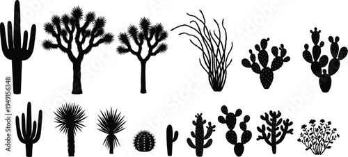 Desert Cactus and Succulent Silhouettes Collection Isolated on White Background, Black Cacti Plants Set Including Saguaro, Prickly Pear and Joshua Tree