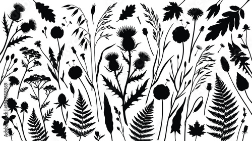 Wild Meadow Plants and Fern Silhouettes Collection Isolated on White Background, Black Botanical Herbs Flowers and Leaves Illustration High Resolution Vector Clipart