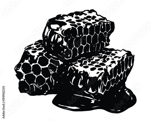 Natural honeycomb chunks with dripping sweet honey vector illustration on white