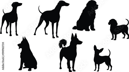 Collection of black silhouette of various dog breeds in standing and sitting poses dogs canine