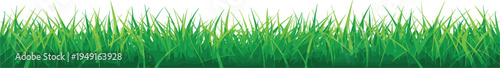 Detailed close-up of tall, vibrant green grass blades forming a natural, textured horizontal border on white
