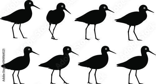 Shorebird silhouette collection isolated on white background, black vector set of wading sea birds in different standing poses