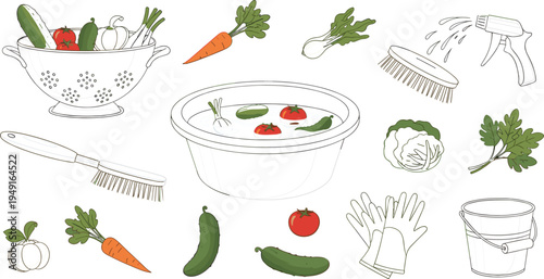 Vegetable Cleaning and Gardening Tools Vector Set Featuring Colander, Brush, Gloves, and Fresh Produce for Home Gardening and Harvesting