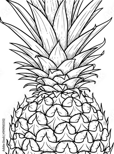Outline drawing of pineapple with detailed texture and leaves
