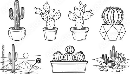 Set of six black and white line drawings of cacti in pots and desert
