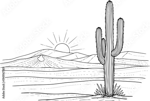 Set of six black and white line drawings of cacti in pots and desert
