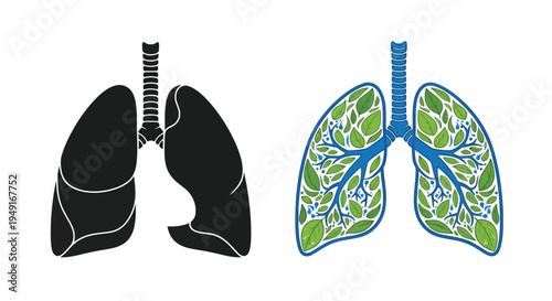Anatomical illustration of human lungs healthy versus damaged