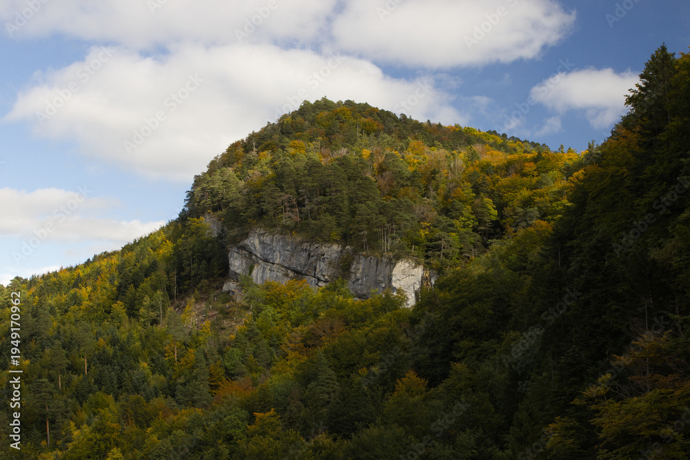 Fototapeta premium Hiking in the forest autumn time 