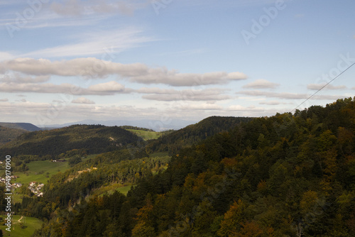 Hiking in the forest autumn time 