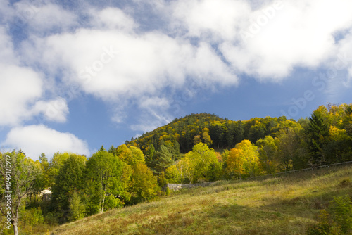 Hiking in the forest autumn time 