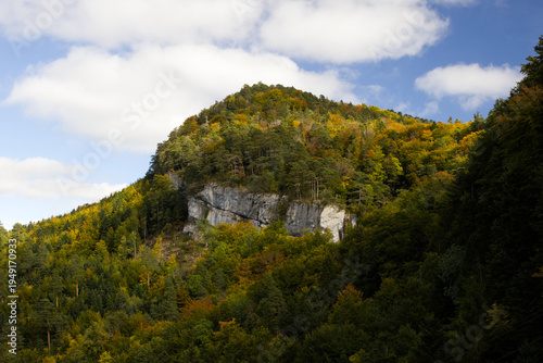 Hiking in the forest autumn time 