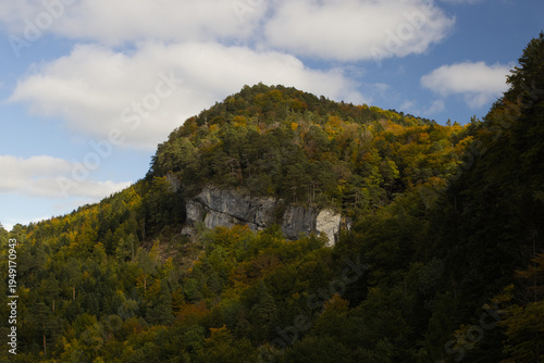 Hiking in the forest autumn time 