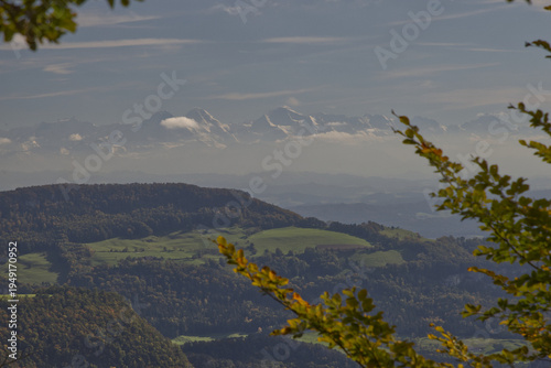 Hiking in the forest autumn time 