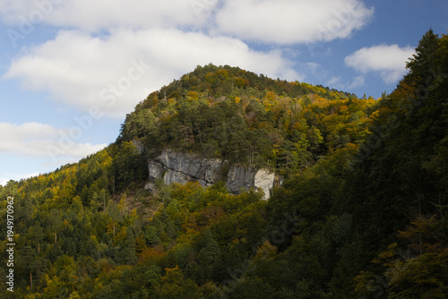 Hiking in the forest autumn time 