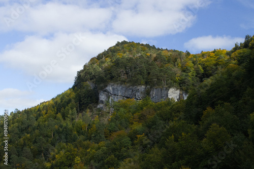 Hiking in the forest autumn time 