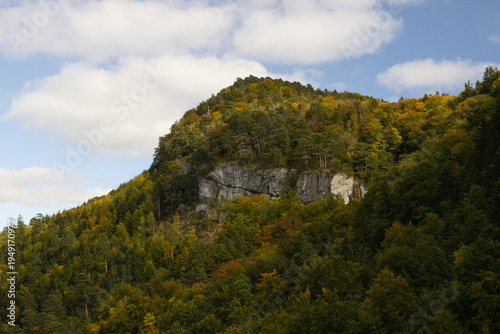 Hiking in the forest autumn time 